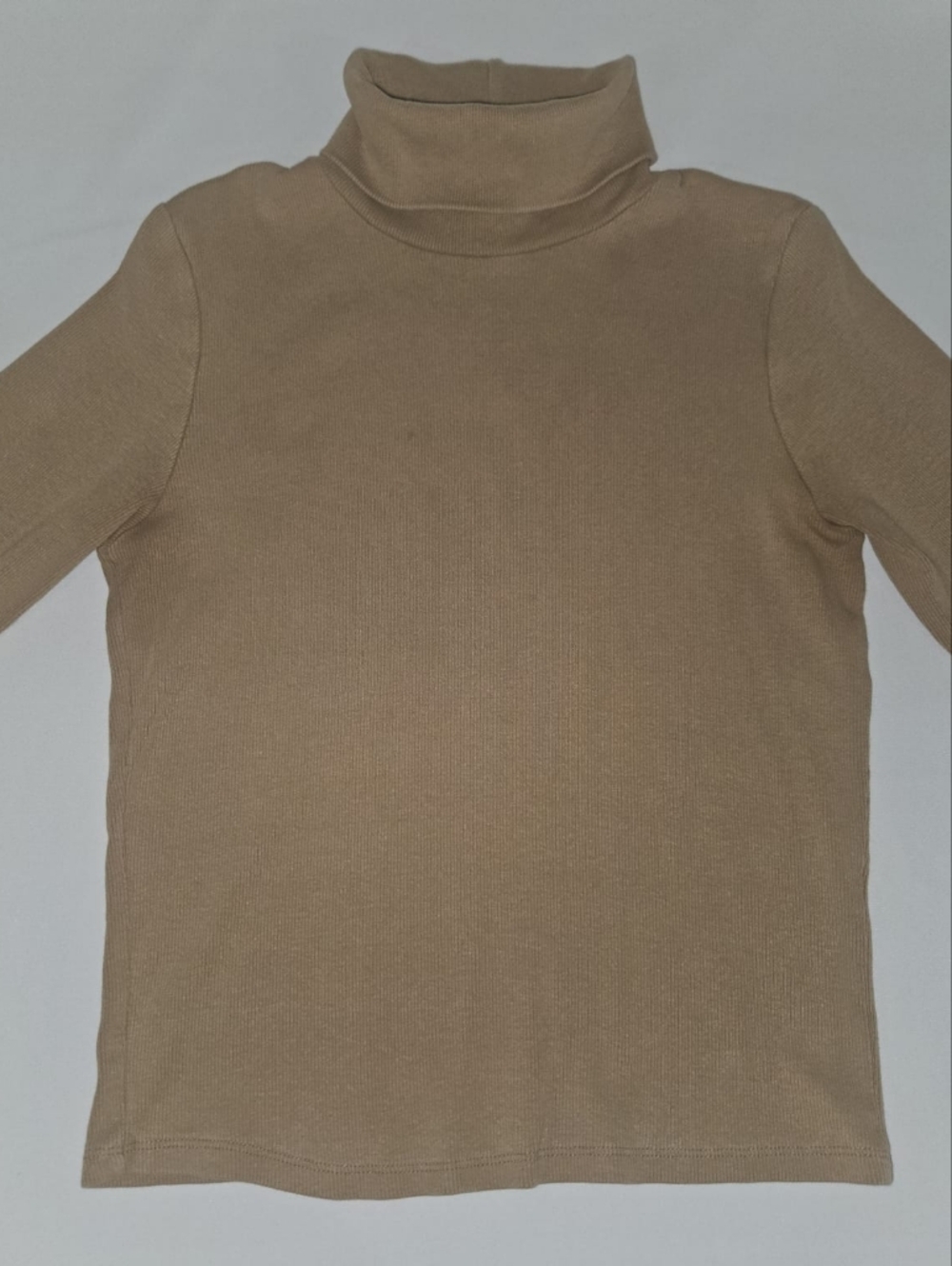 Zara Ribbed Turtleneck Top in Camel Beige